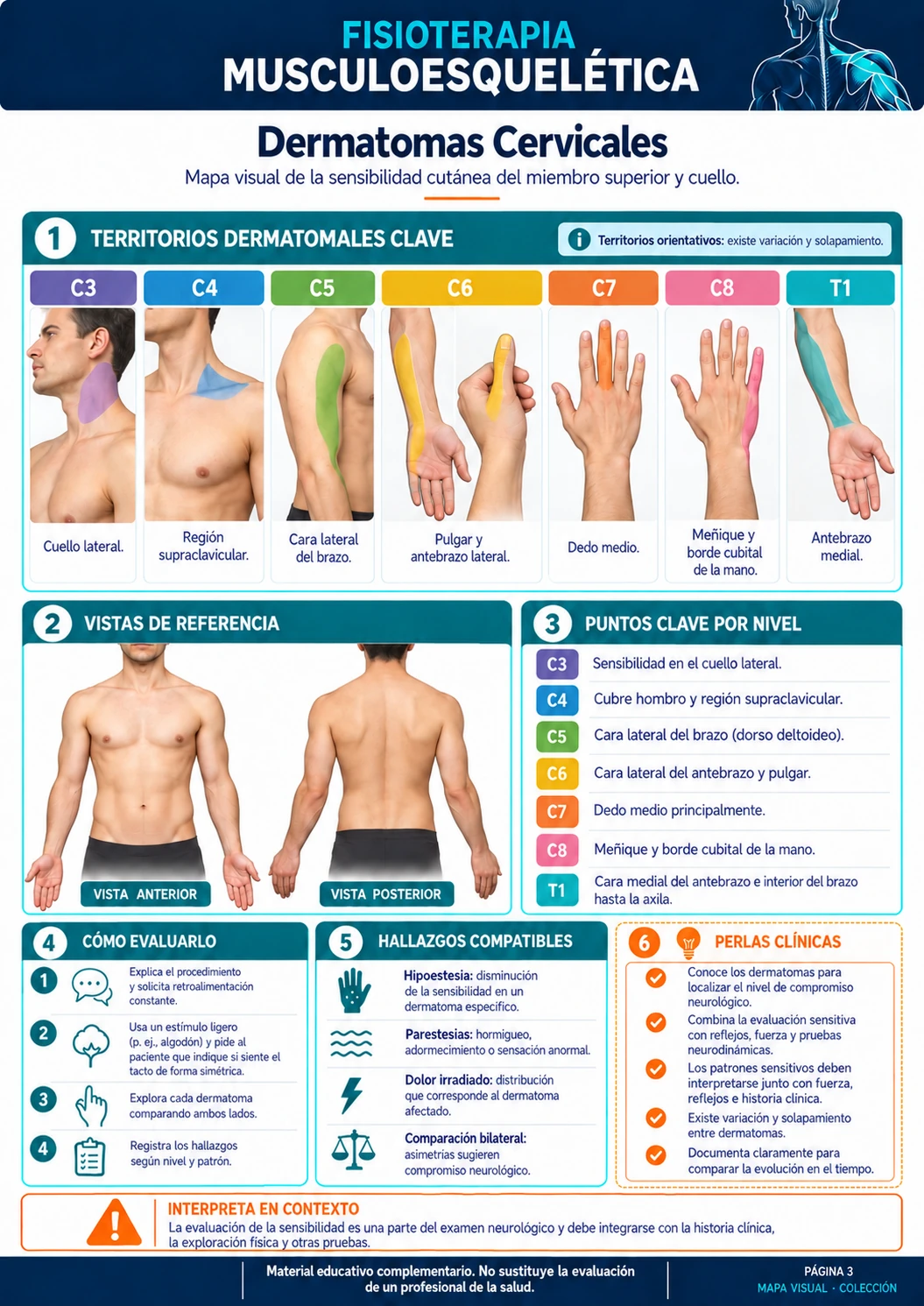 Dermatomas cervicales